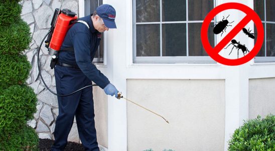 Bartın Böcek ve Haşere İlaçlama böcek ilaçlama ve haşere kontrolü — ilaclama-tr.com